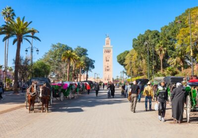 Top 10 Things to Do in Marrakech