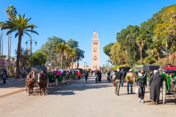 Marrakech Full Day Guided City Tour – Private Tour