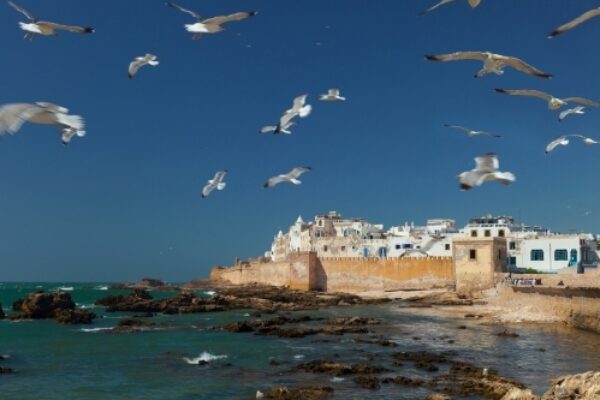 Essaouira Day Trip from Marrakech