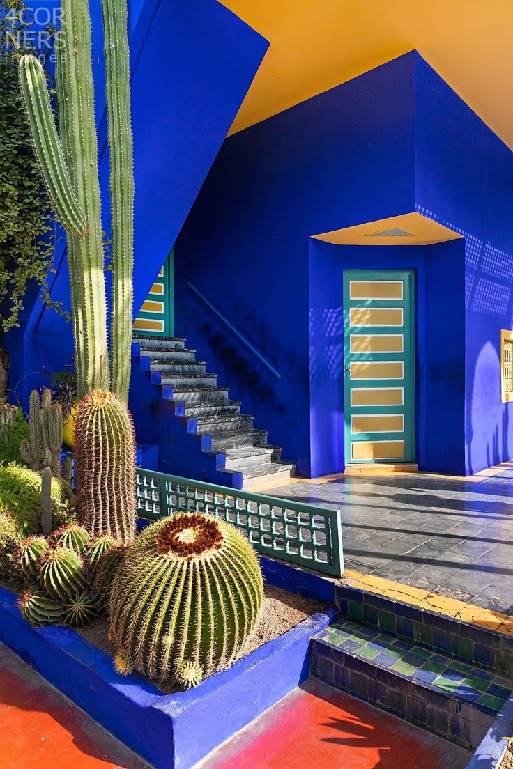 Morocco, Morocco, Marrakech, Marrakesh, Park, Arabian garden Jardin Majorelle by Yves Saint Laurent