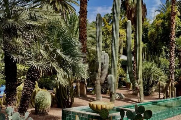 Private Majorelle Garden Guided Tour