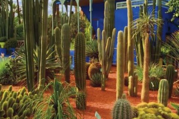 Private Majorelle Garden Guided Tour