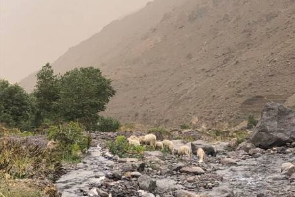 Imlil village Day Trip from Marrakech.