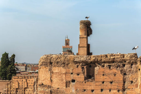 El Badi Palace Guided Tours