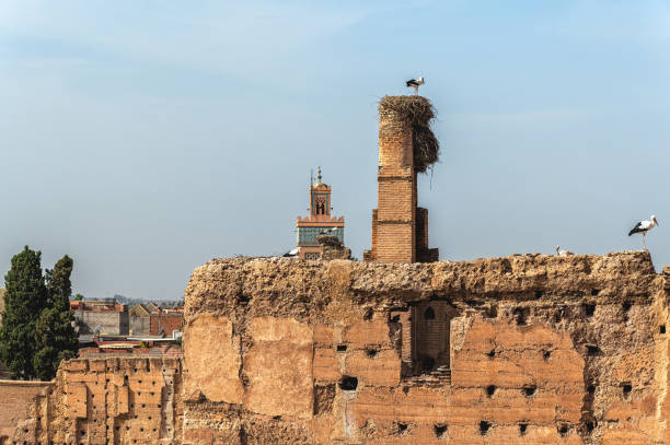 Storks nesting on the walls of the El Badi Palace Marrakech Morocco North Africa