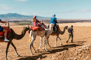 Camel ride at sunset in Agafay Desert Morocco, Quad biking adventure in Agafay Desert, Scenic panorama of rocky dunes Agafay Desert Morocco
