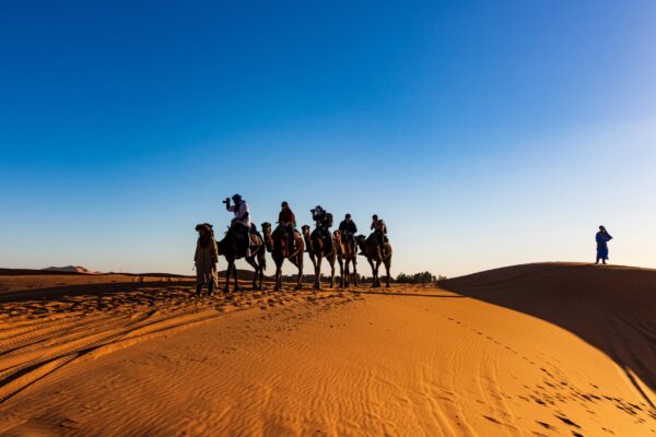 Zagora Desert: 2-Days Trip from Marrakesh