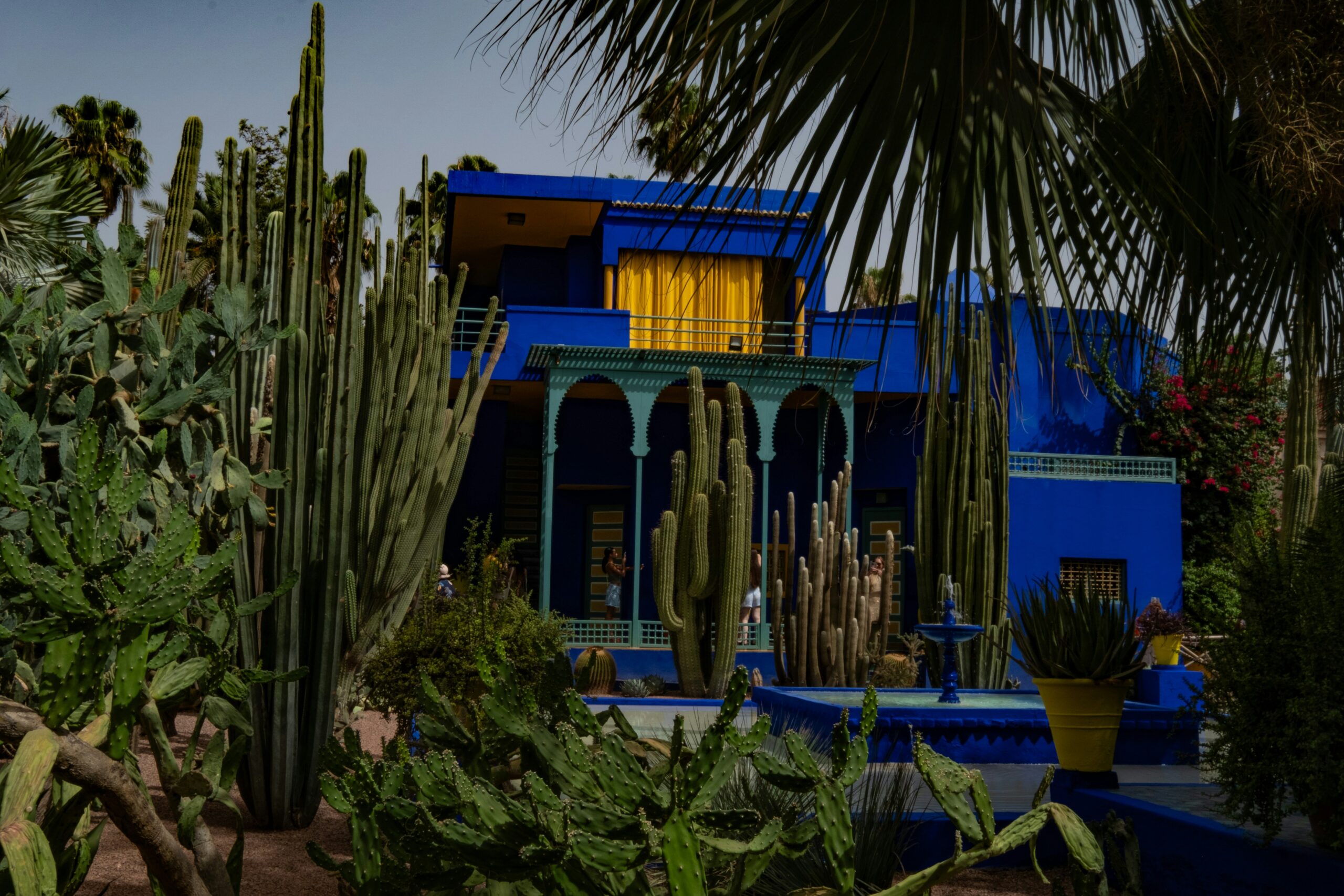 Majorelle Garden and YSL Museum private guided visit Marrakech