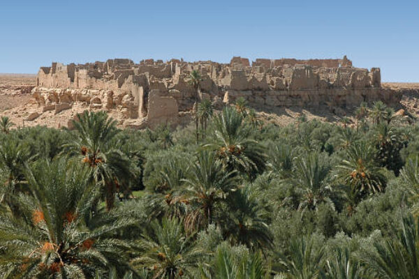 8 Days Best of Morocco Tour from Marrakech to the Sahara Desert