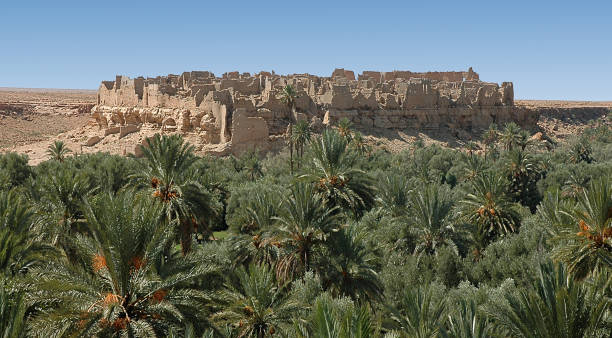 Tafilalet and Rissani, south-eastern Morocco